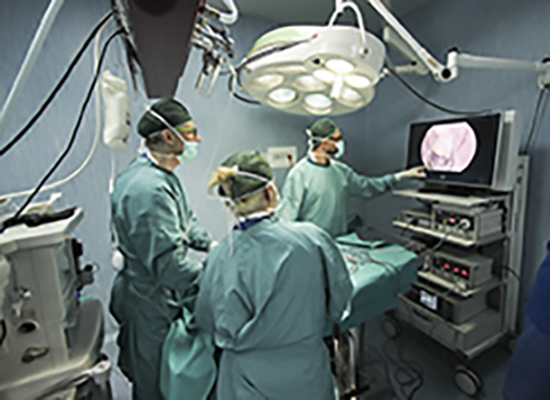 El programa de simulación para cirujanos pediátricos que ofrece el Centro de Biotecnología del Hospital Cardarelli en Nápoles.