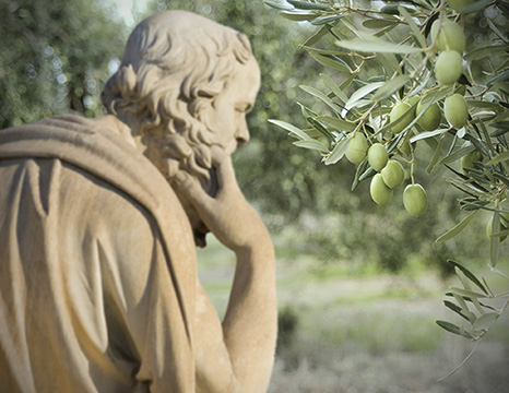 Jardín de Epicuro, la simulación entre los olivos