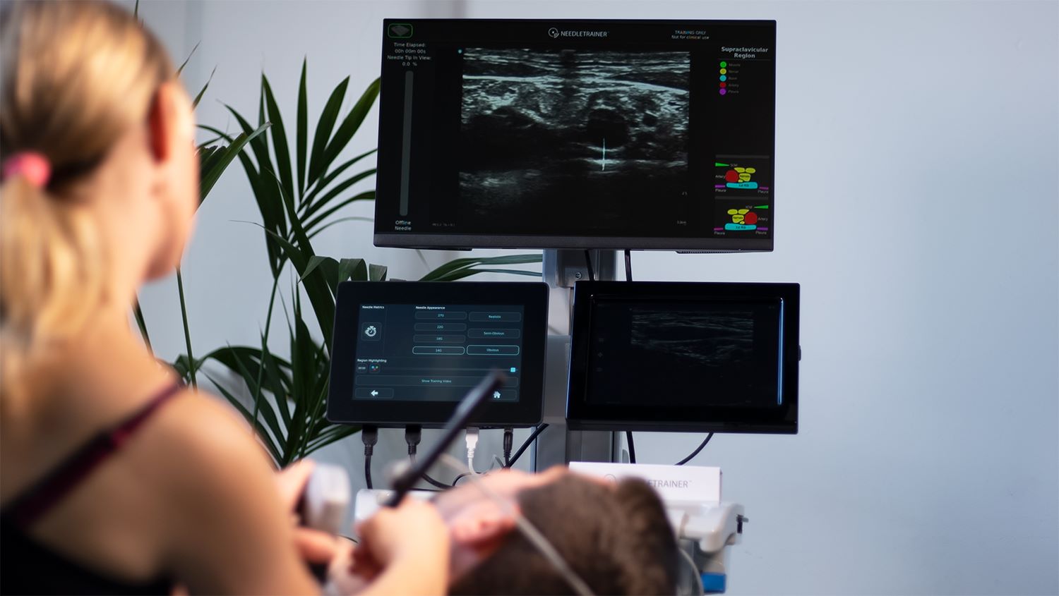 <strong>Needle Trainer by Intelligent Ultrasound: not just a simulator</strong>