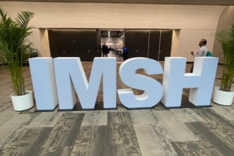 Innovation and realism in IMSH 2024