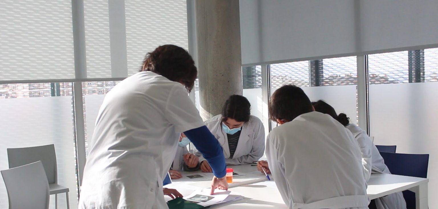 MOSAICO collaborative clinical simulation - SIMZINE