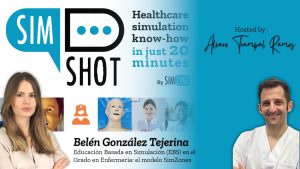 SimZones in Undergraduate Nursing Education: Challenges, Adaptations, and a Proposal for the Future
